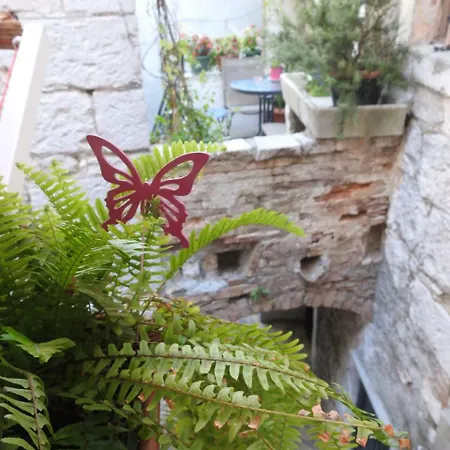 Kovacic_grubisic Сплит